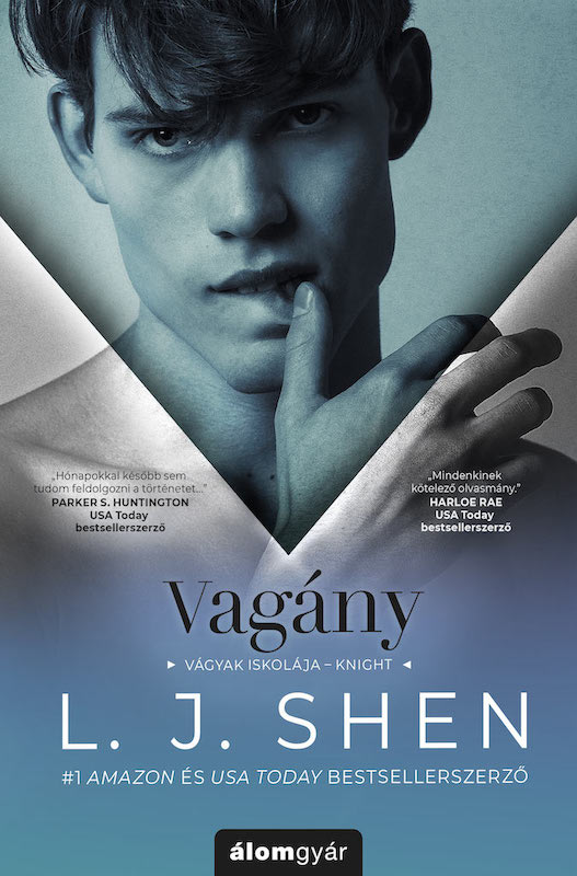 L. J. Shen: Vagány könyv borítója